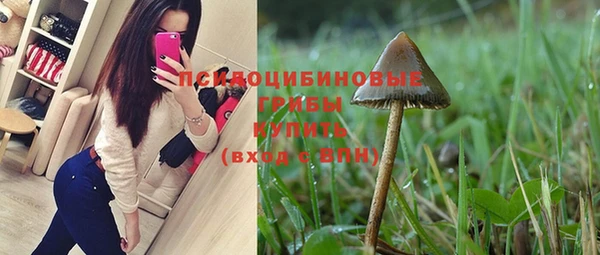 дурь Балахна